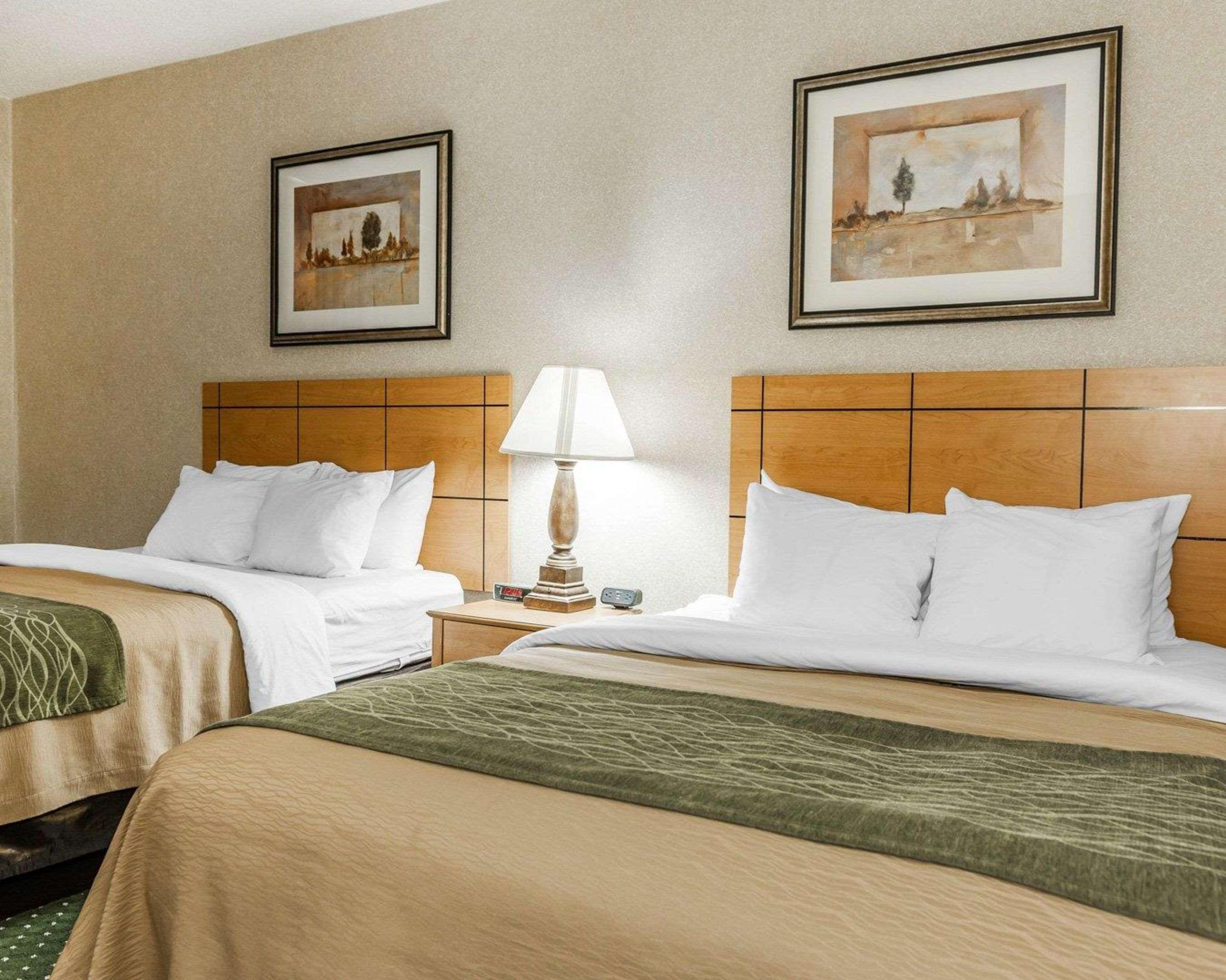 Comfort Inn Near Kokomo Speedway Εξωτερικό φωτογραφία